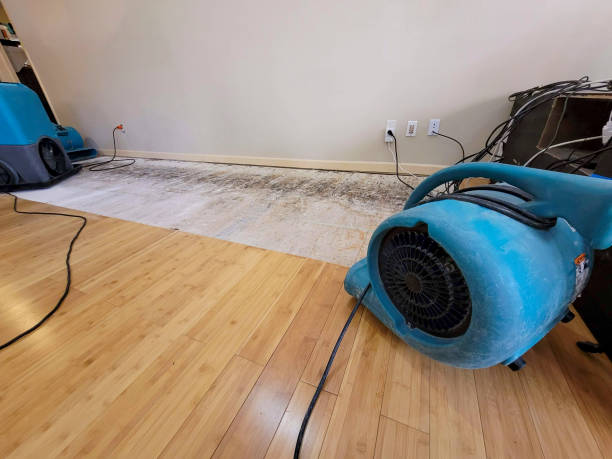 Professional Flood Damage Cleanup technician working in Loudon, TN